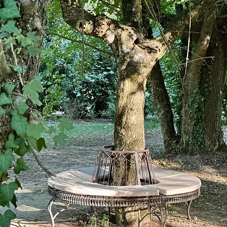 Couette-café Casale La Gora - Di Charme 4*